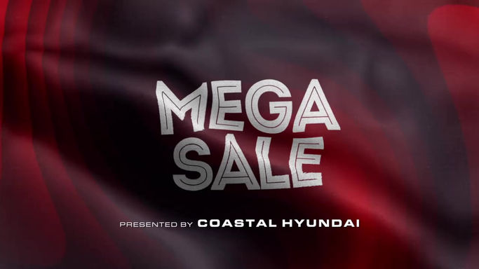 009_Events_MegaSale